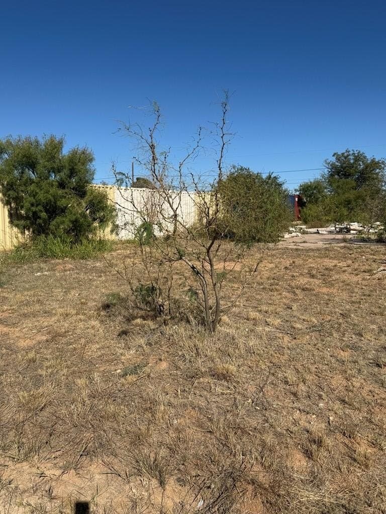 0.18 acres in Scurry County - photo 2
