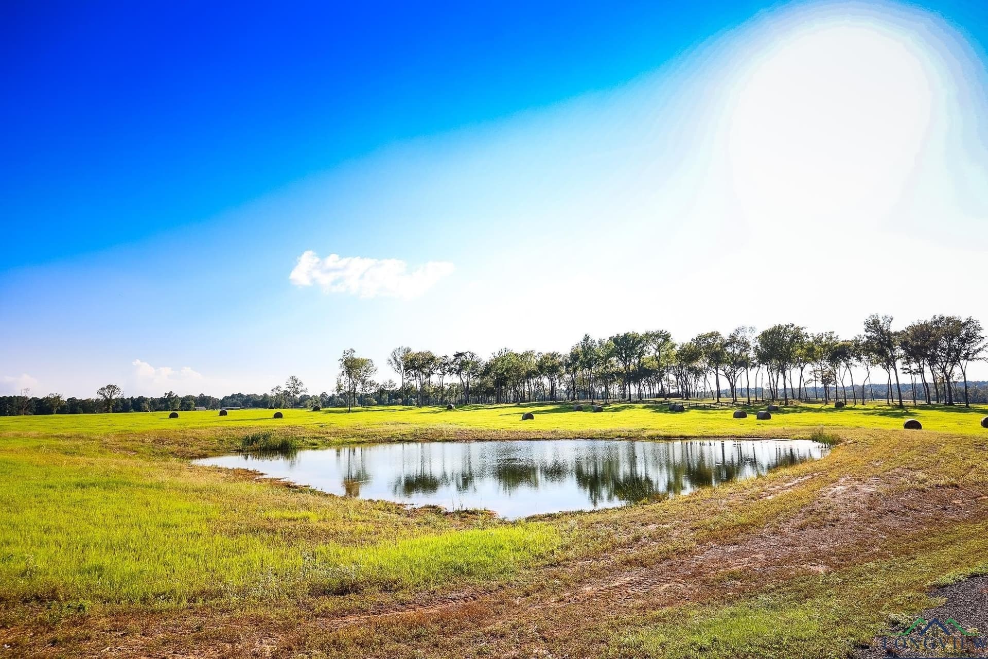 155 acres in Harrison County - photo 18