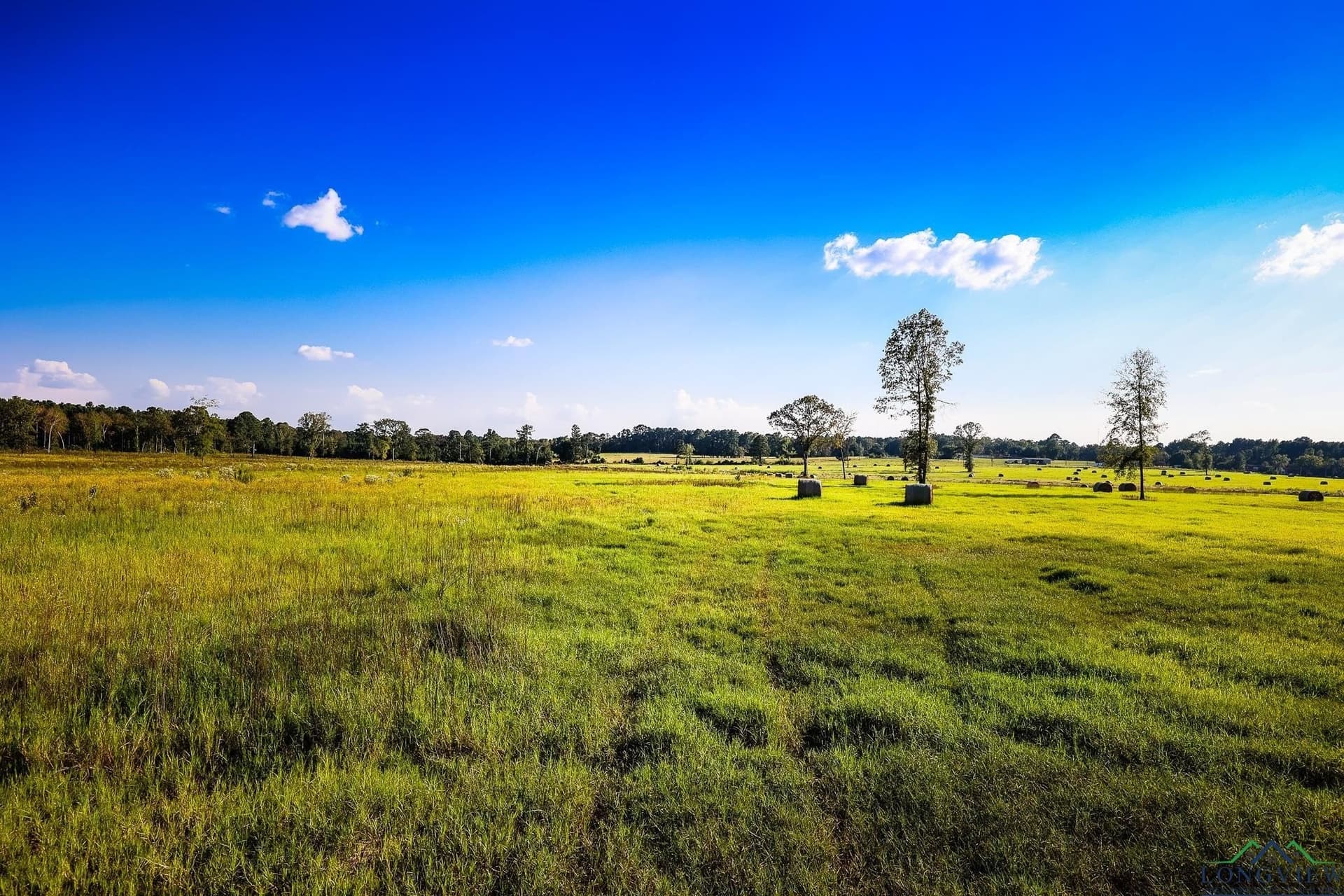 155 acres in Harrison County - photo 16