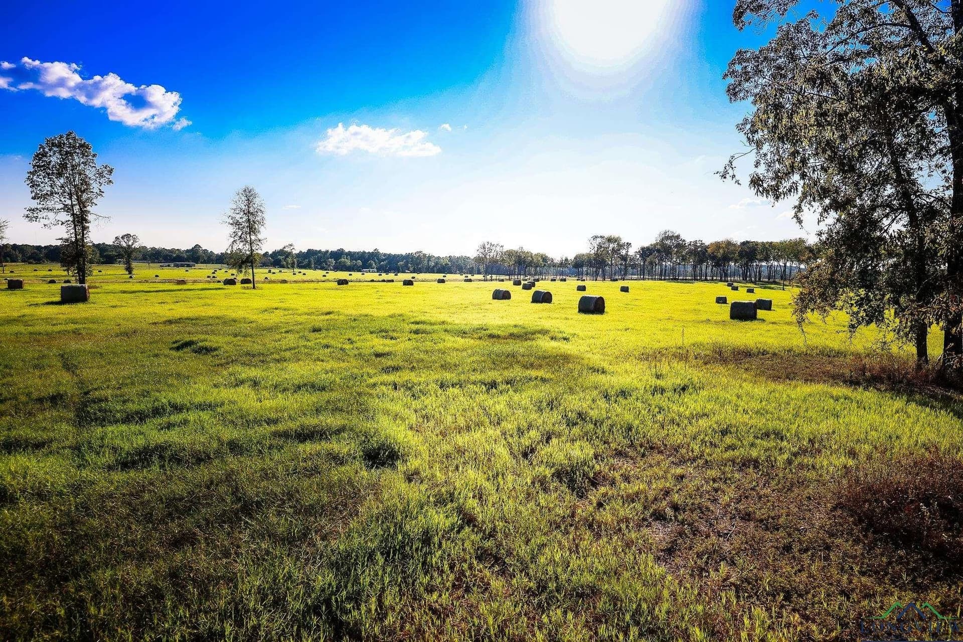 155 acres in Harrison County - photo 17