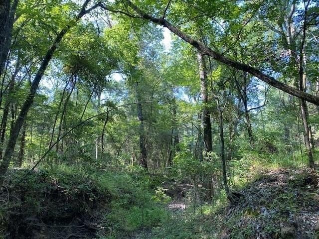 12.42 acres in Henderson County - photo 3