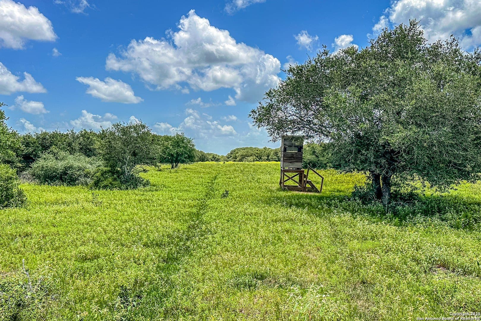 471.46 acres in Victoria County - photo 41
