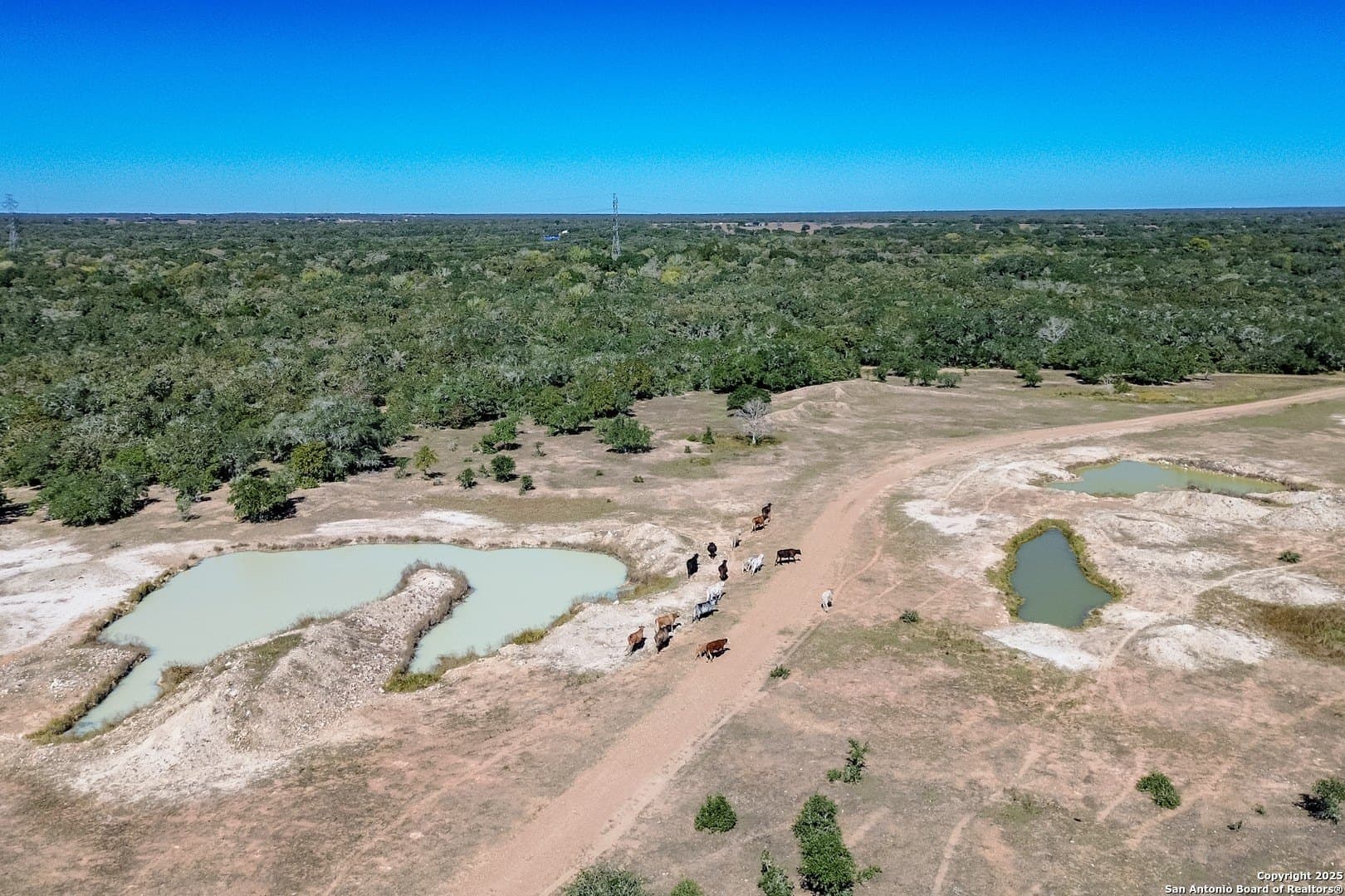 471.46 acres in Victoria County - photo 64
