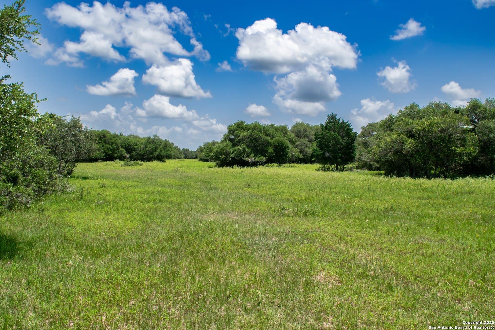 471.46 acres in Victoria County - photo 16