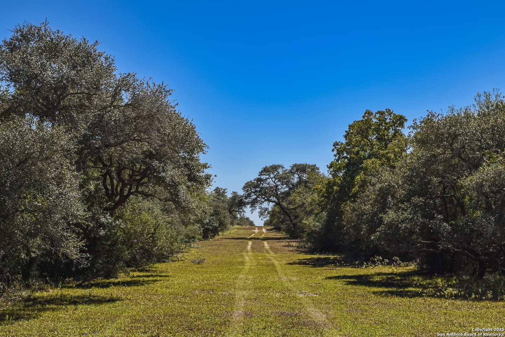 471.46 acres in Victoria County - photo 29