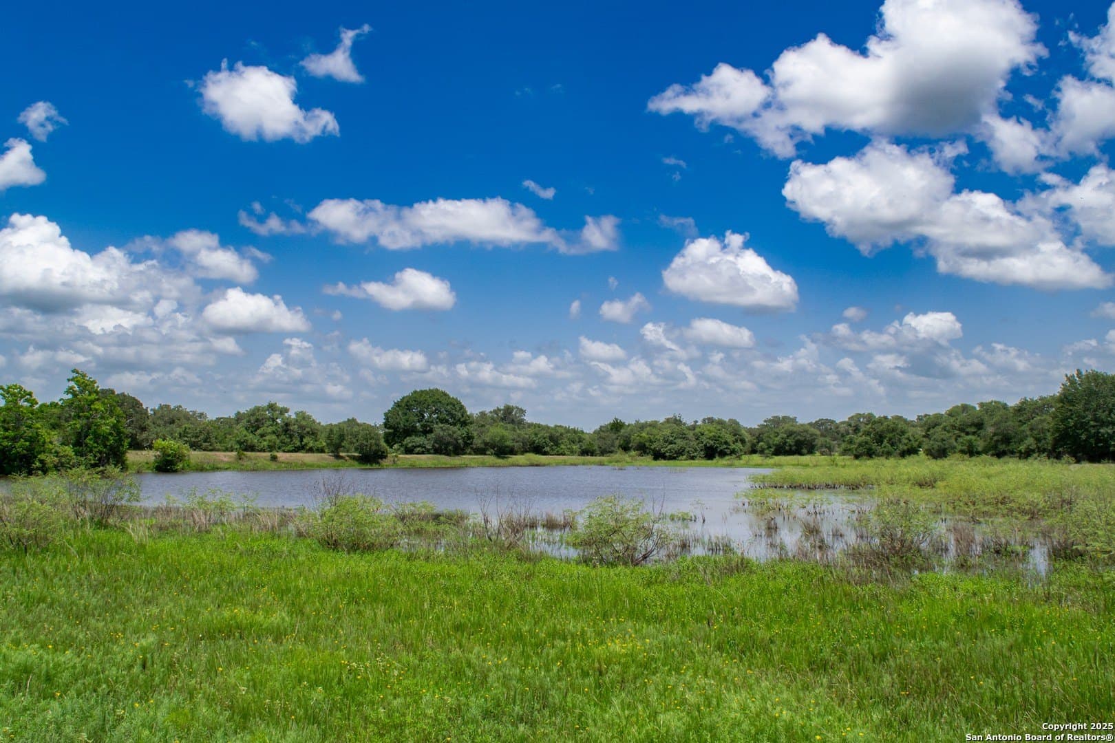 471.46 acres in Victoria County - photo 19