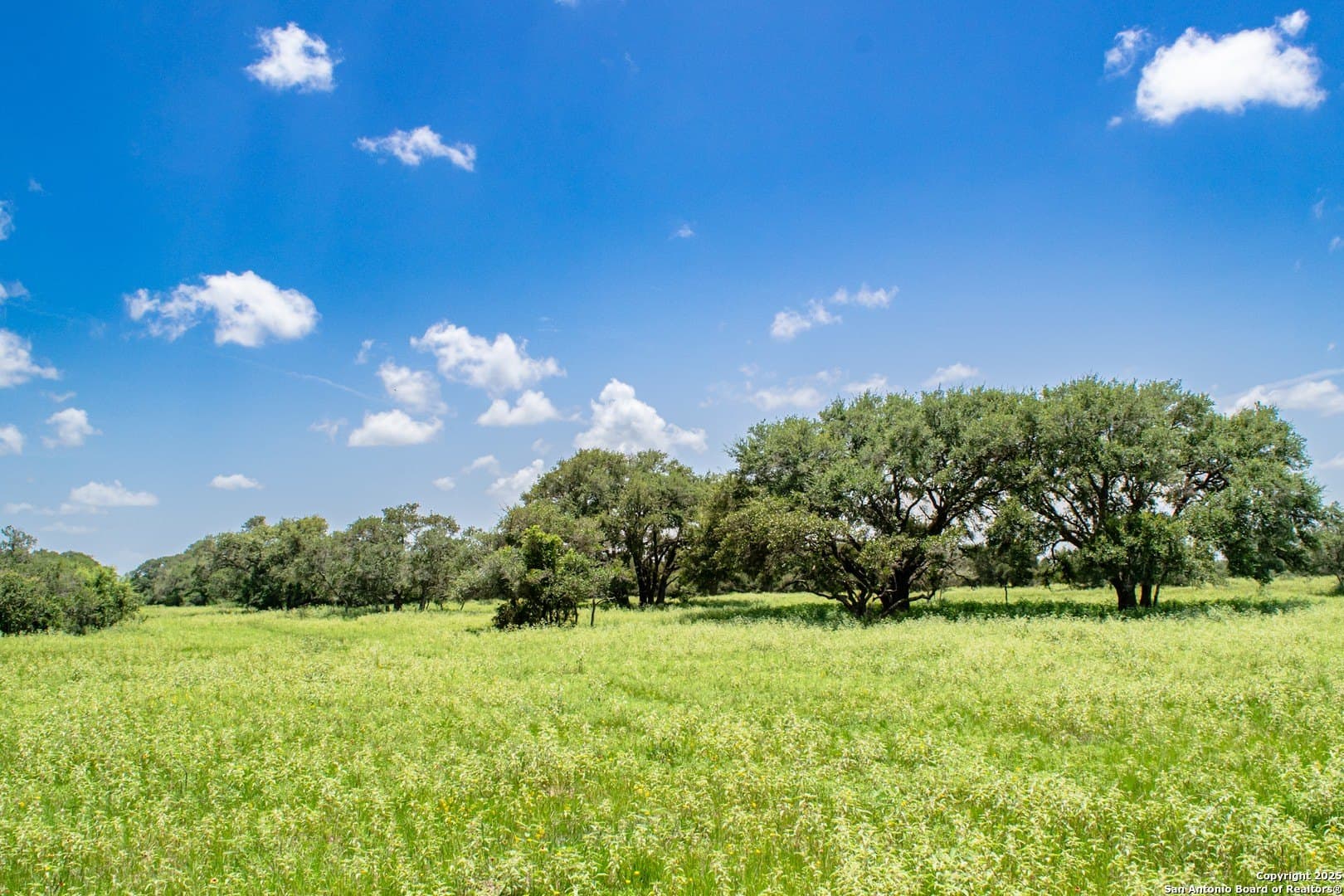 471.46 acres in Victoria County - photo 20