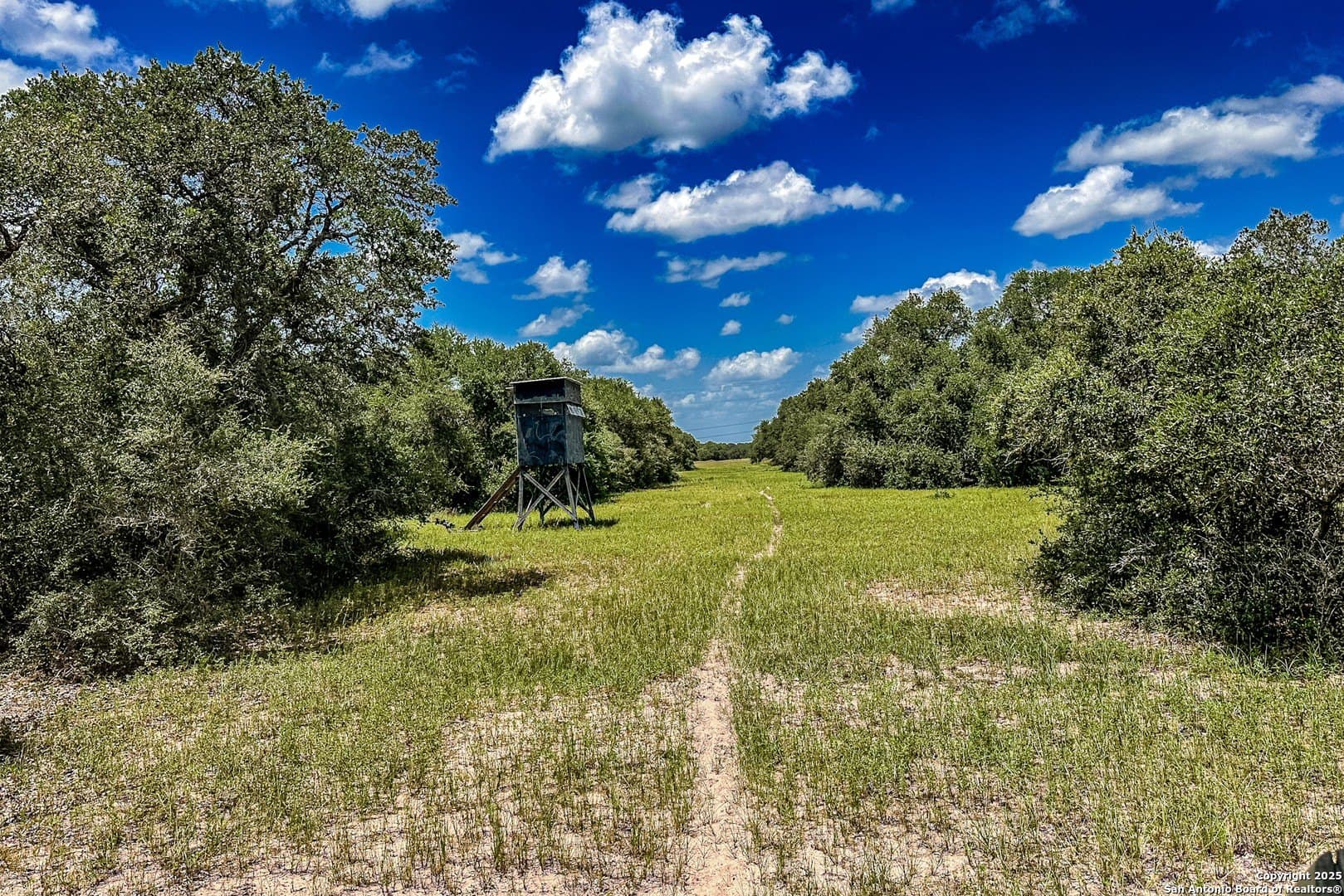 471.46 acres in Victoria County - photo 46