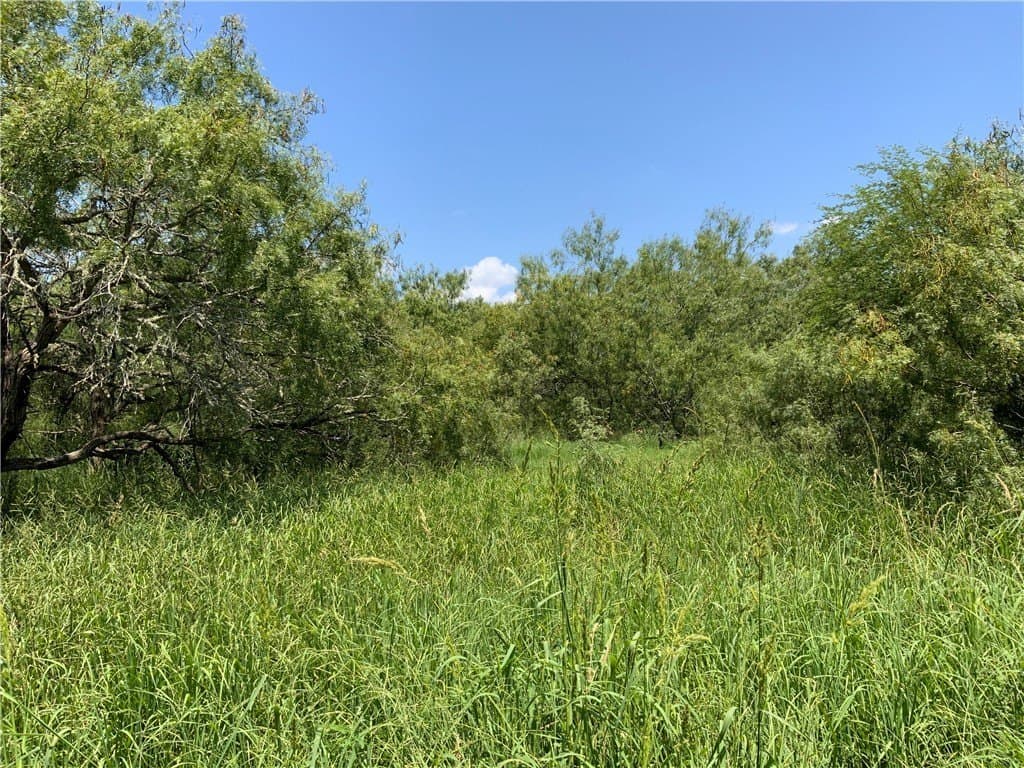 21 acres in San Patricio County - photo 18