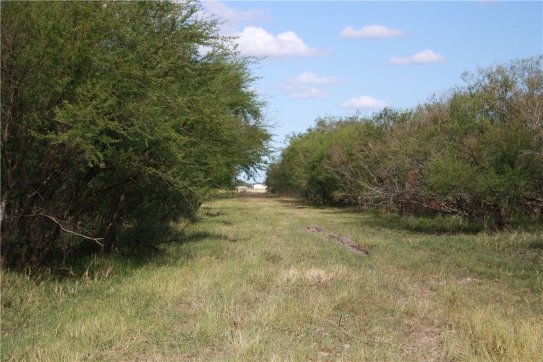 21 acres in San Patricio County - photo 13