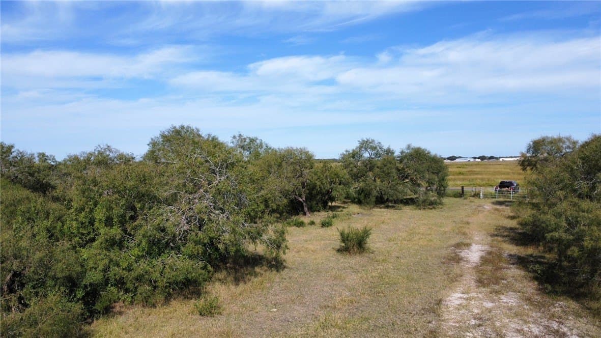 21 acres in San Patricio County - photo 8