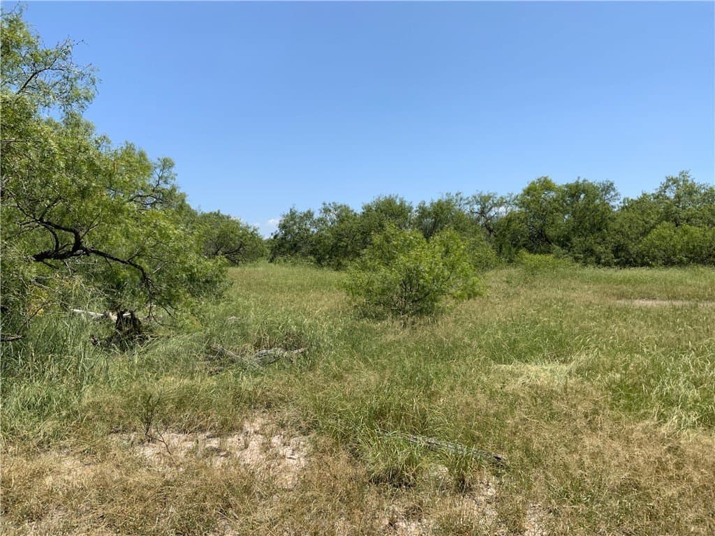 21 acres in San Patricio County - photo 19