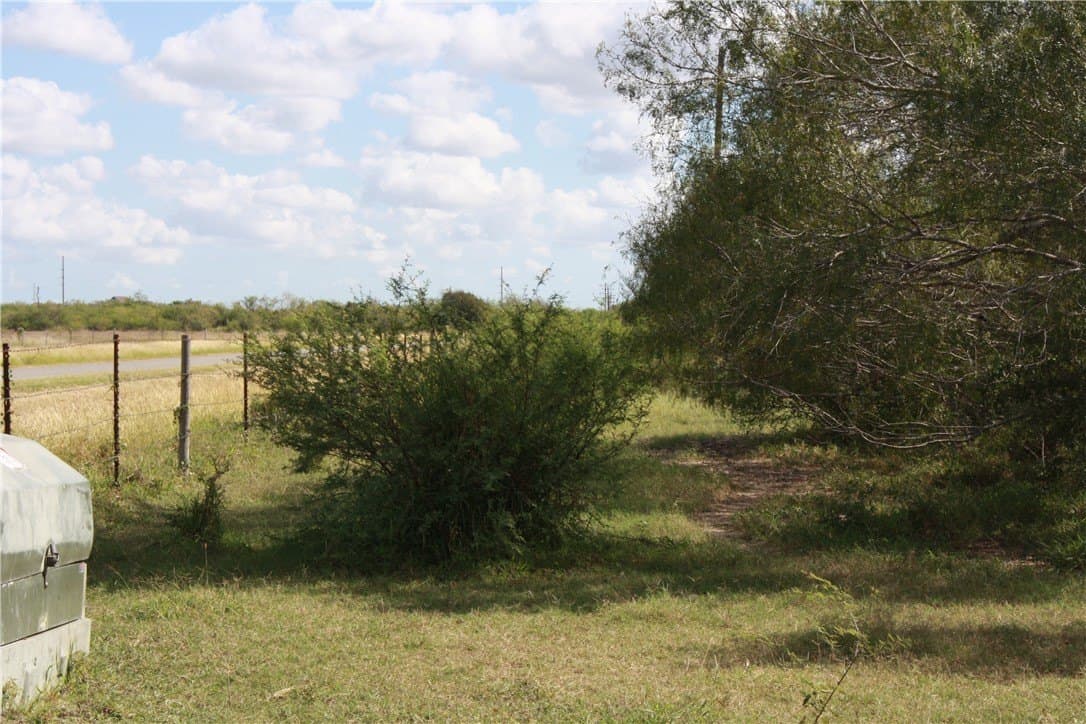 21 acres in San Patricio County - photo 14