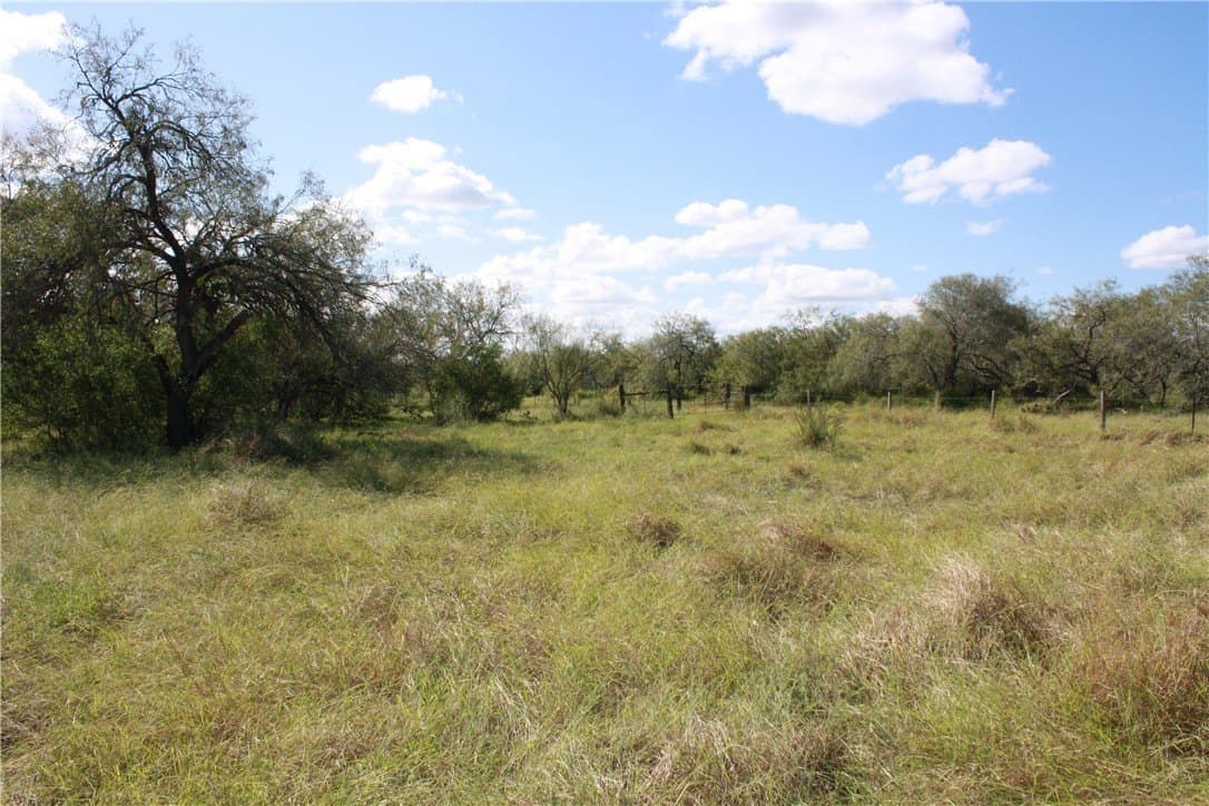 21 acres in San Patricio County - photo 9