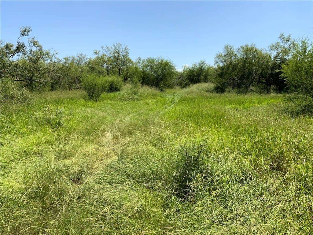 21 acres in San Patricio County - photo 17