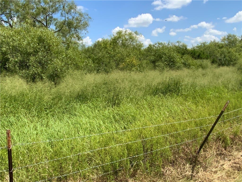 21 acres in San Patricio County - photo 16