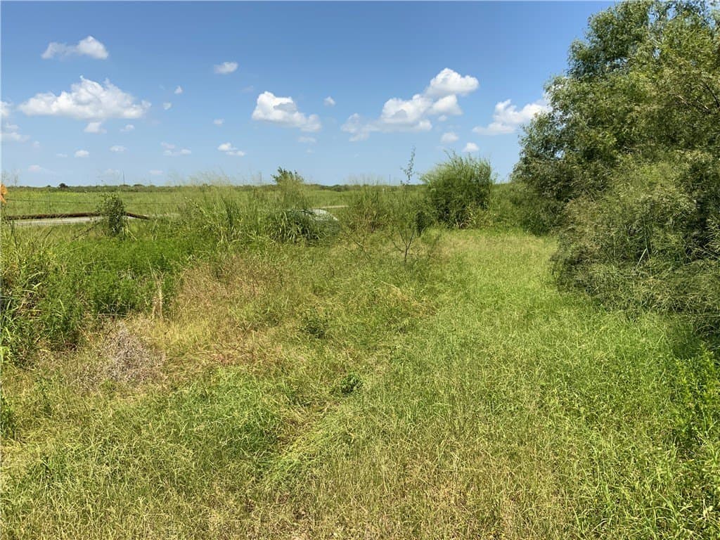 21 acres in San Patricio County - photo 4