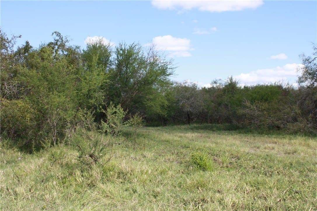 21 acres in San Patricio County - photo 12