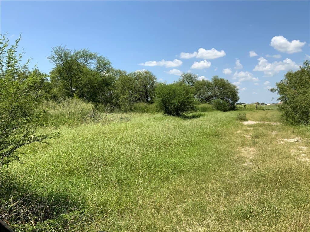 21 acres in San Patricio County - photo 3
