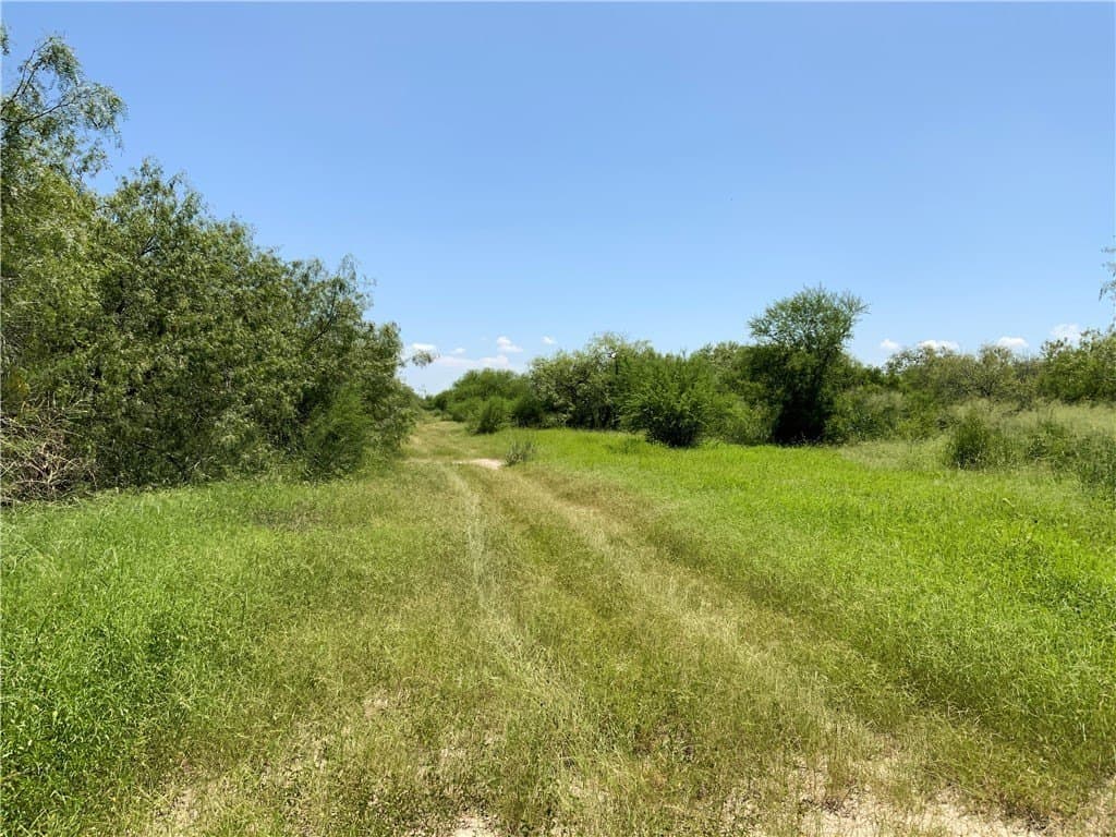 21 acres in San Patricio County - photo 2