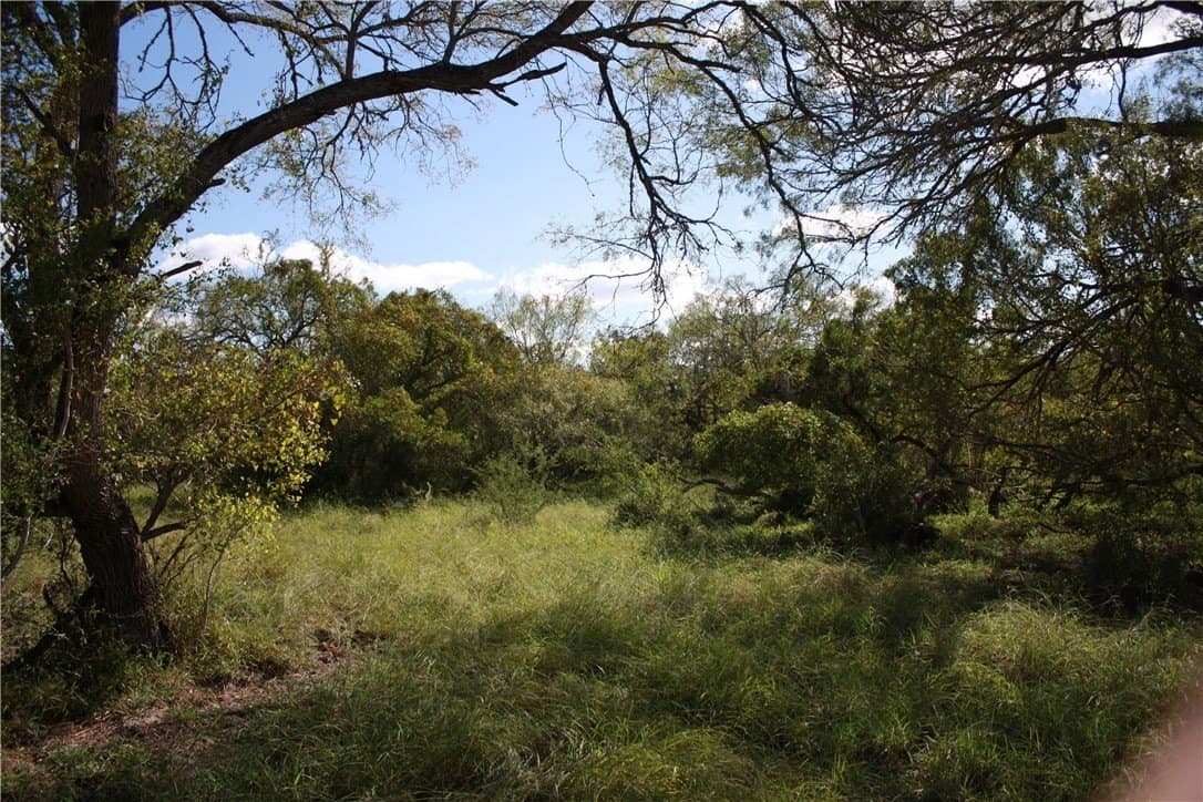 21 acres in San Patricio County - photo 10
