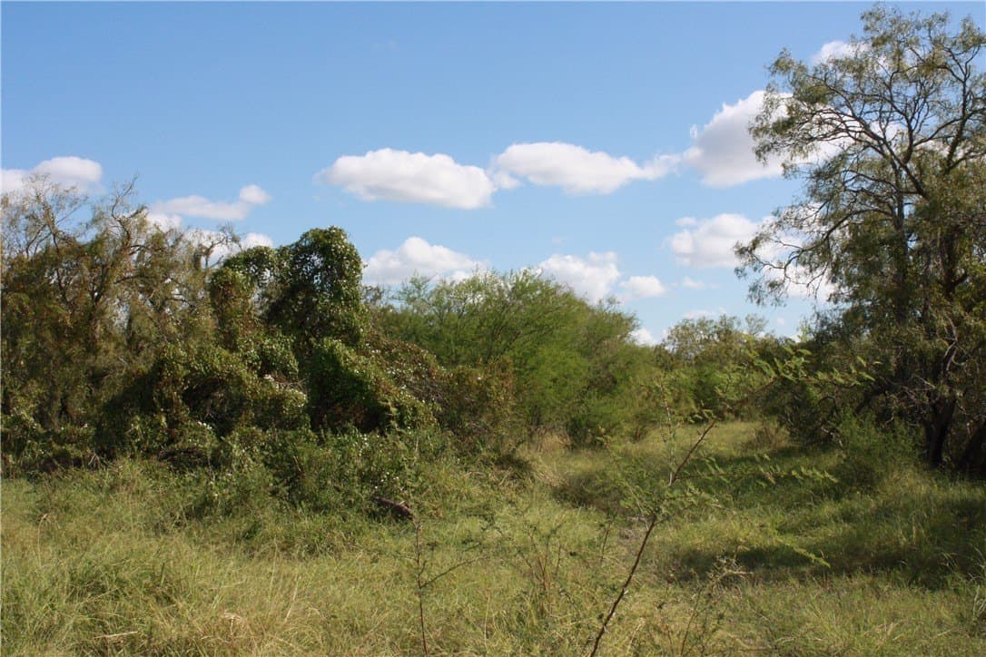 21 acres in San Patricio County - photo 11