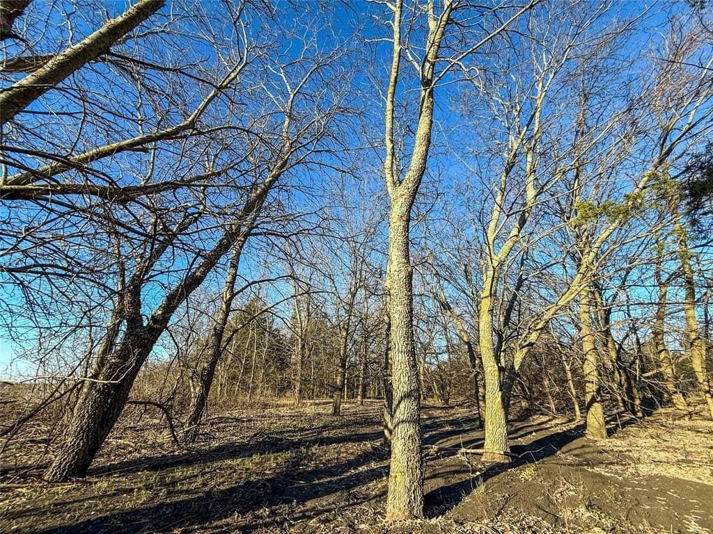 207.41 acres in Delta County - photo 16
