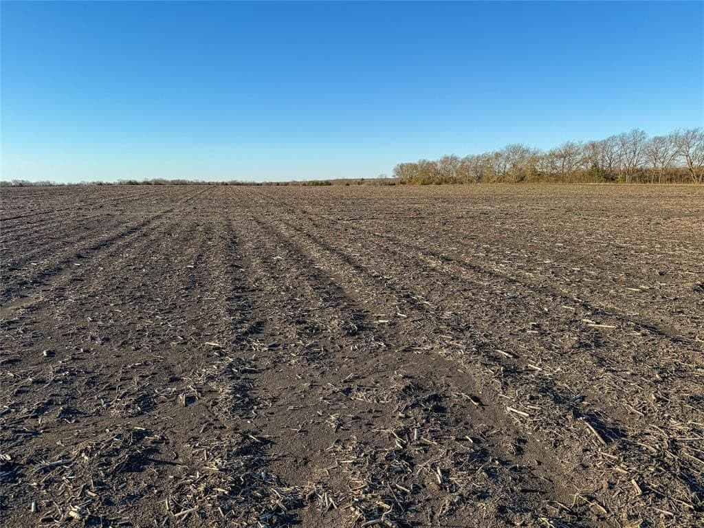 207.41 acres in Delta County - photo 15