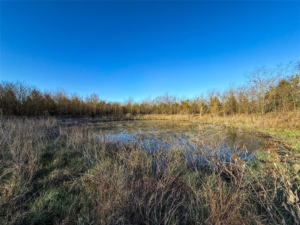 207.41 acres in Delta County - photo 17