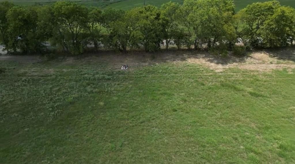 11.24 acres in Rains County - photo 7