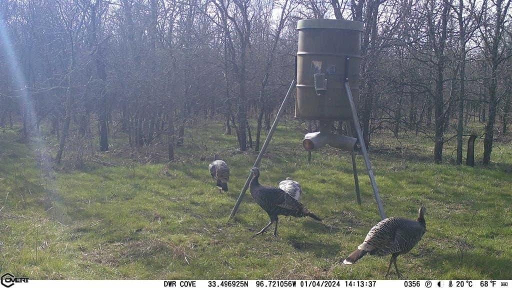 146.7 acres in Grayson County - photo 39