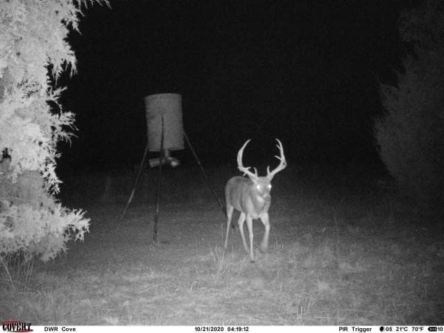 146.7 acres in Grayson County - photo 38