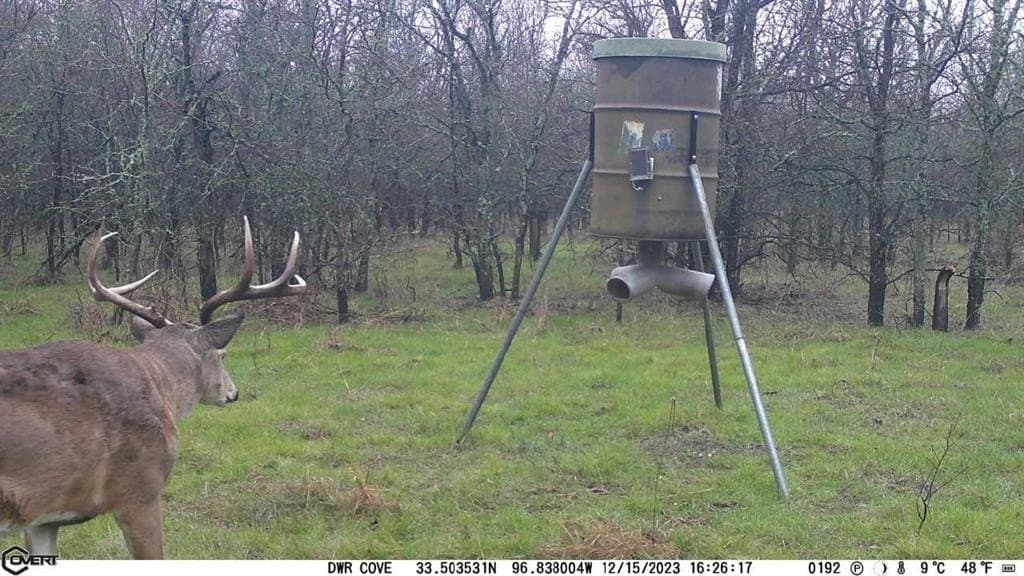 146.7 acres in Grayson County - photo 35