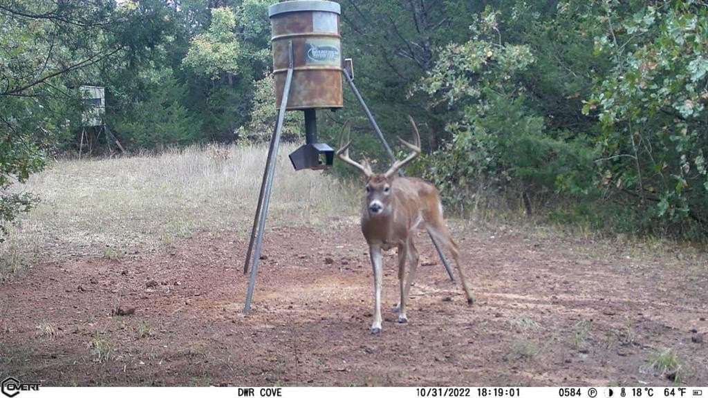146.7 acres in Grayson County - photo 36