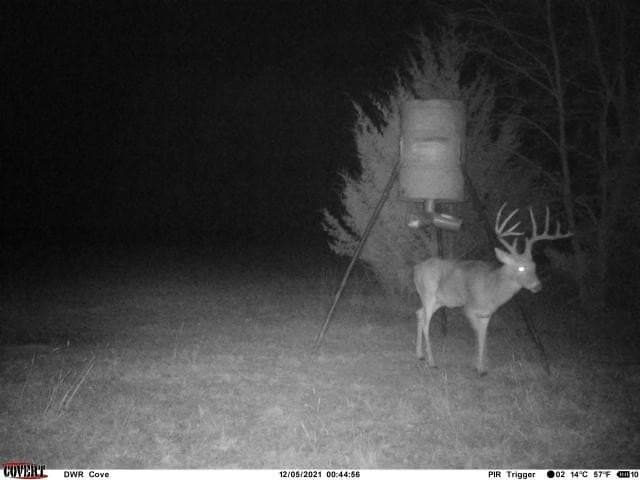 146.7 acres in Grayson County - photo 37
