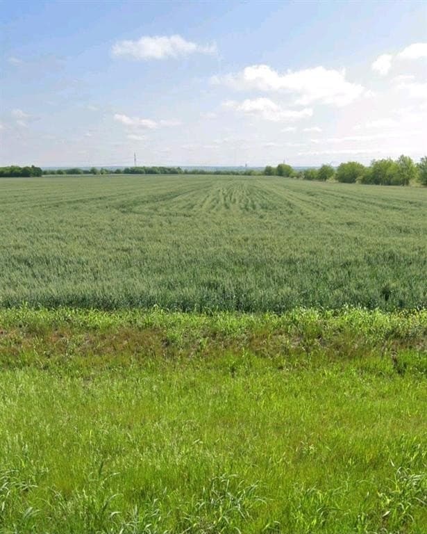 191.3 acres in Johnson County - photo 2