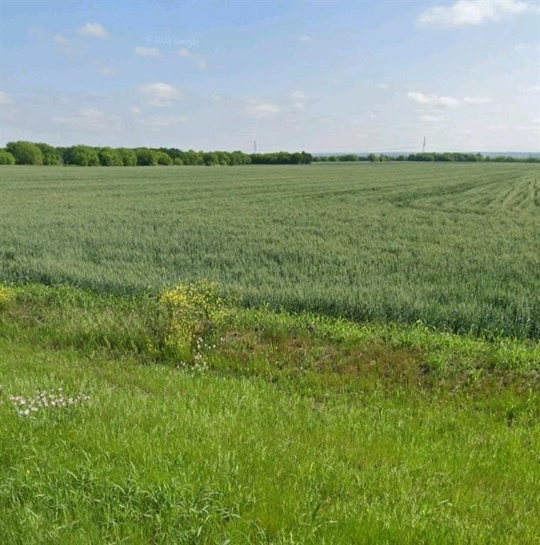 191.3 acres in Johnson County - photo 3