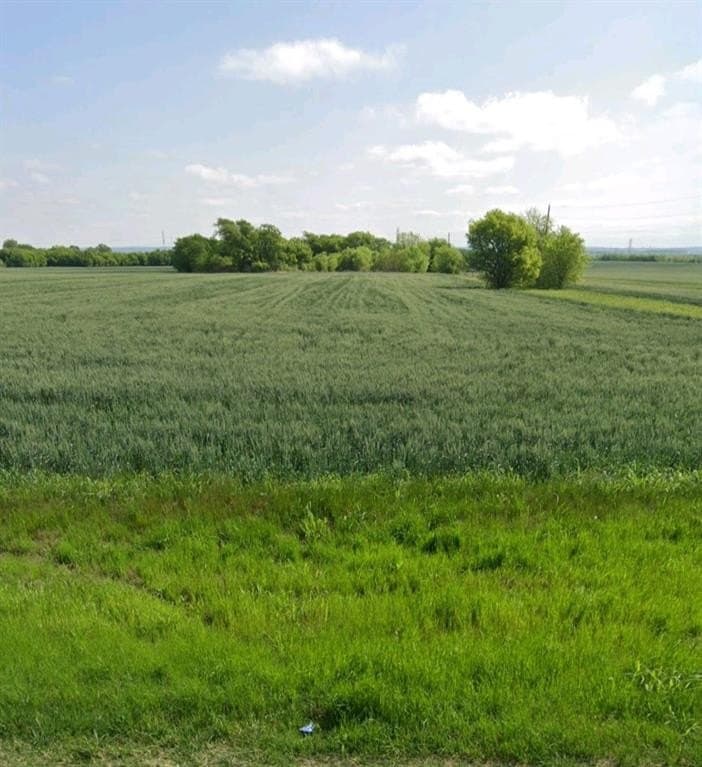 191.3 acres in Johnson County - photo 6
