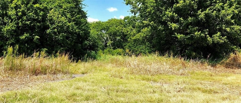 191.3 acres in Johnson County - photo 7