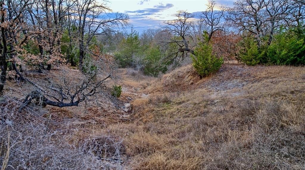 12.47 acres in Montague County - photo 36