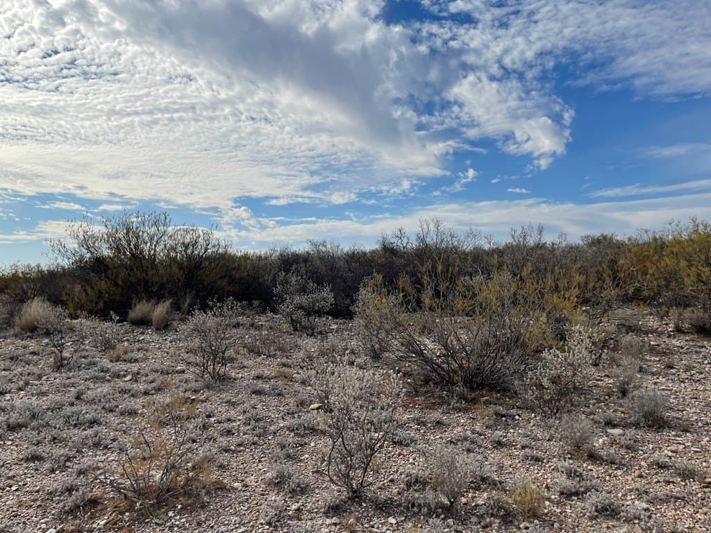 20.38 acres in Maverick County - photo 5
