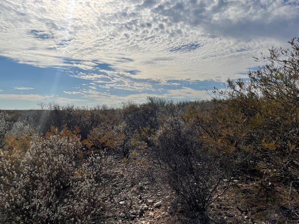 20.38 acres in Maverick County - photo 4