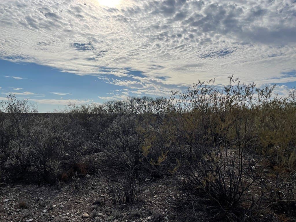 20.38 acres in Maverick County - photo 7