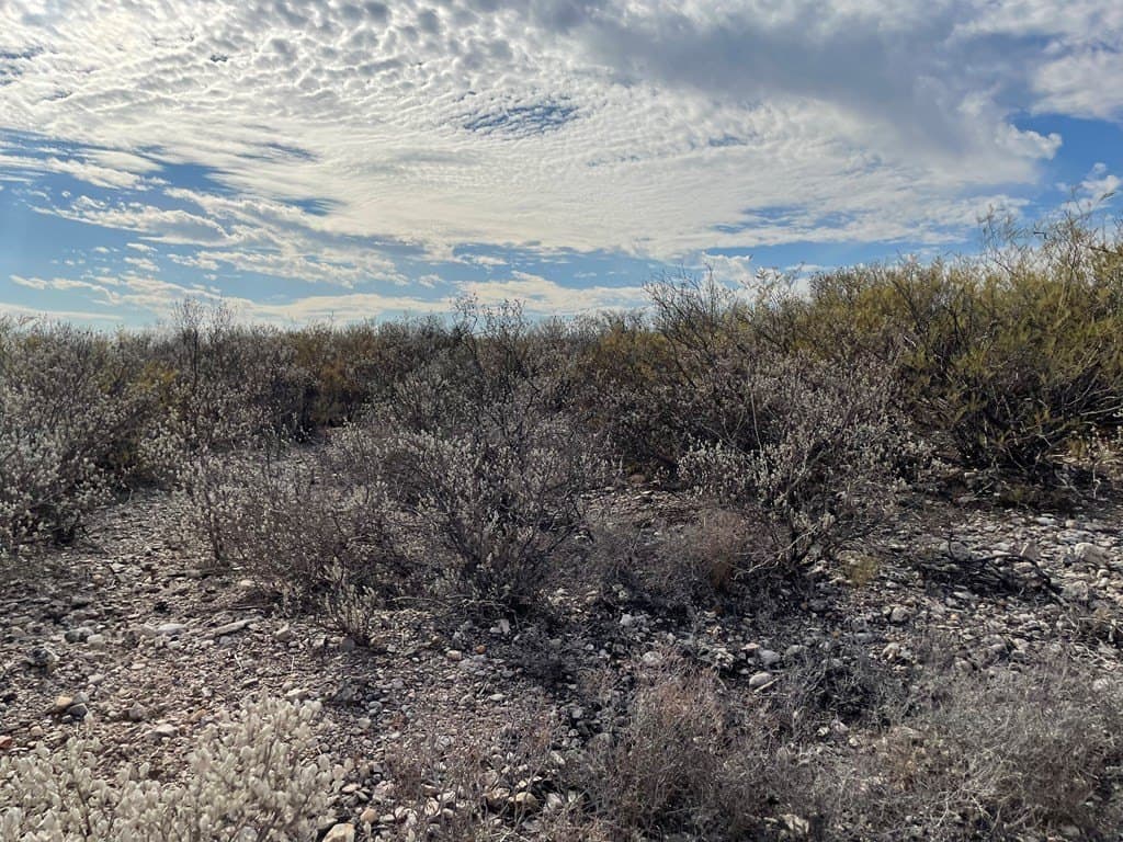 20.38 acres in Maverick County - photo 2
