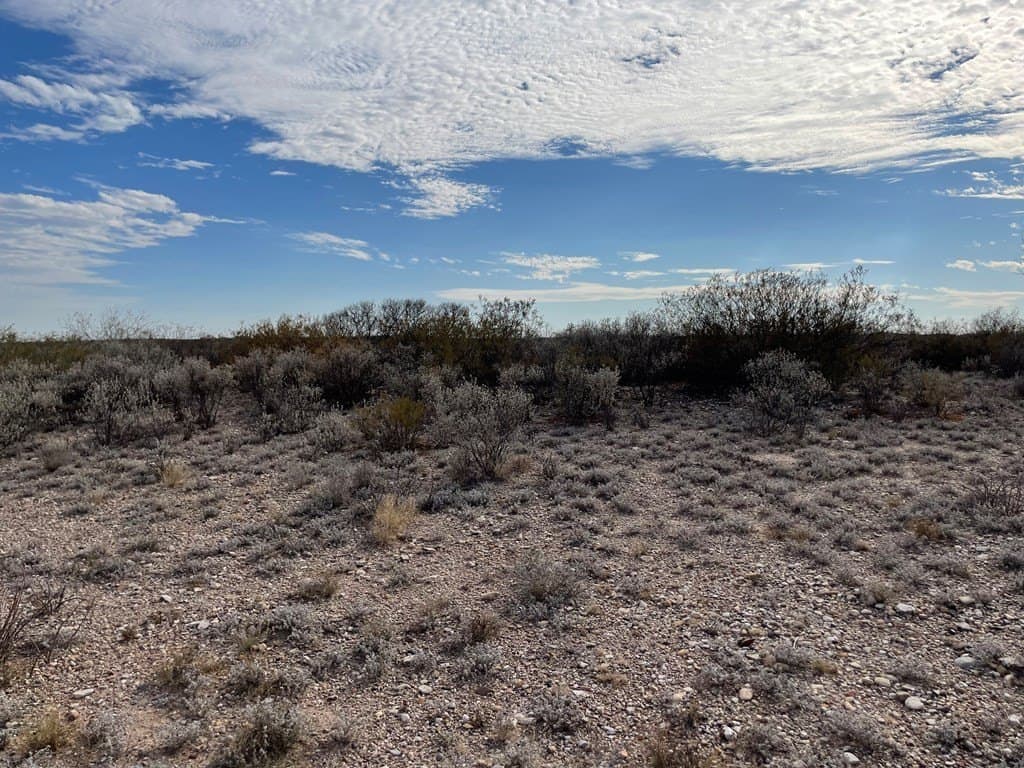 20.38 acres in Maverick County - photo 3