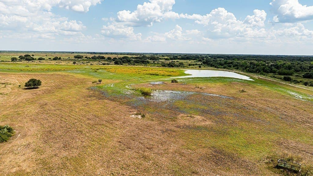 181.88 acres in Colorado County - photo 7