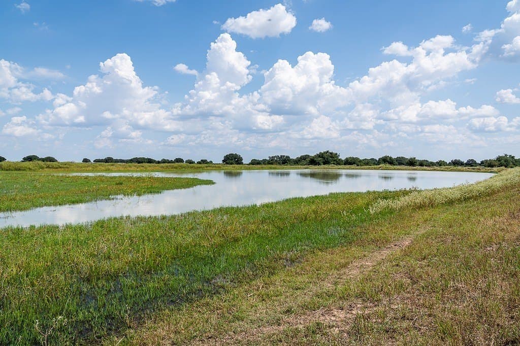 181.88 acres in Colorado County - photo 5