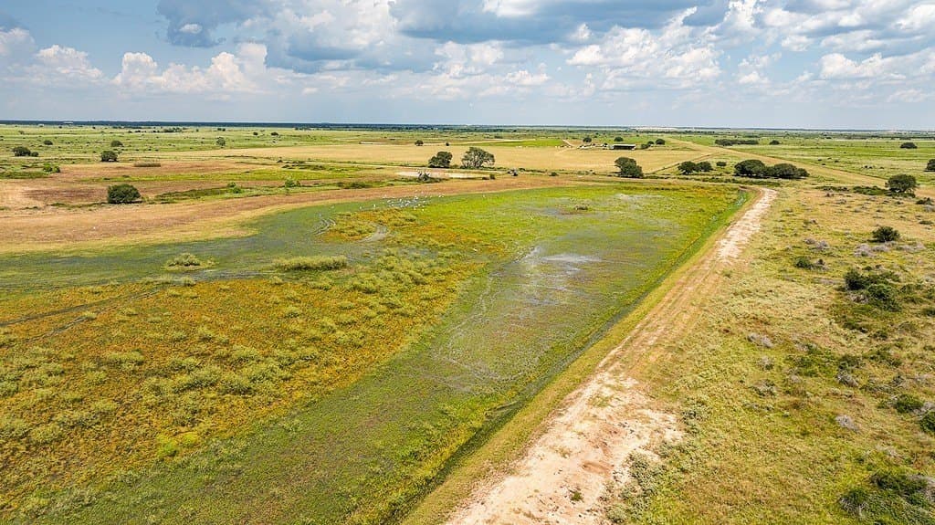 181.88 acres in Colorado County - photo 8