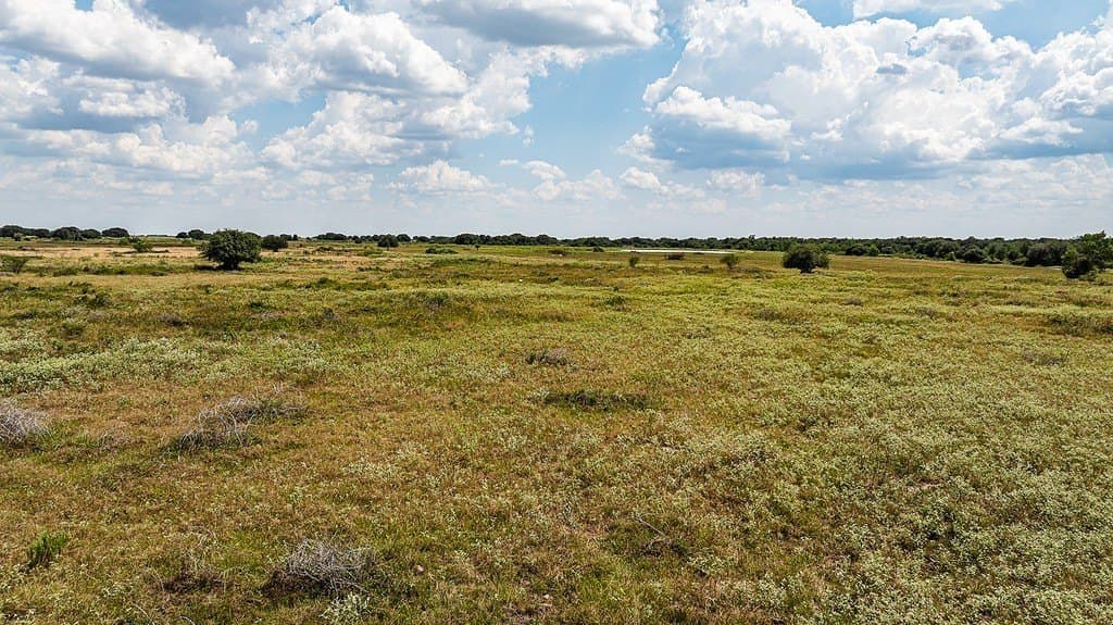 181.88 acres in Colorado County - photo 22