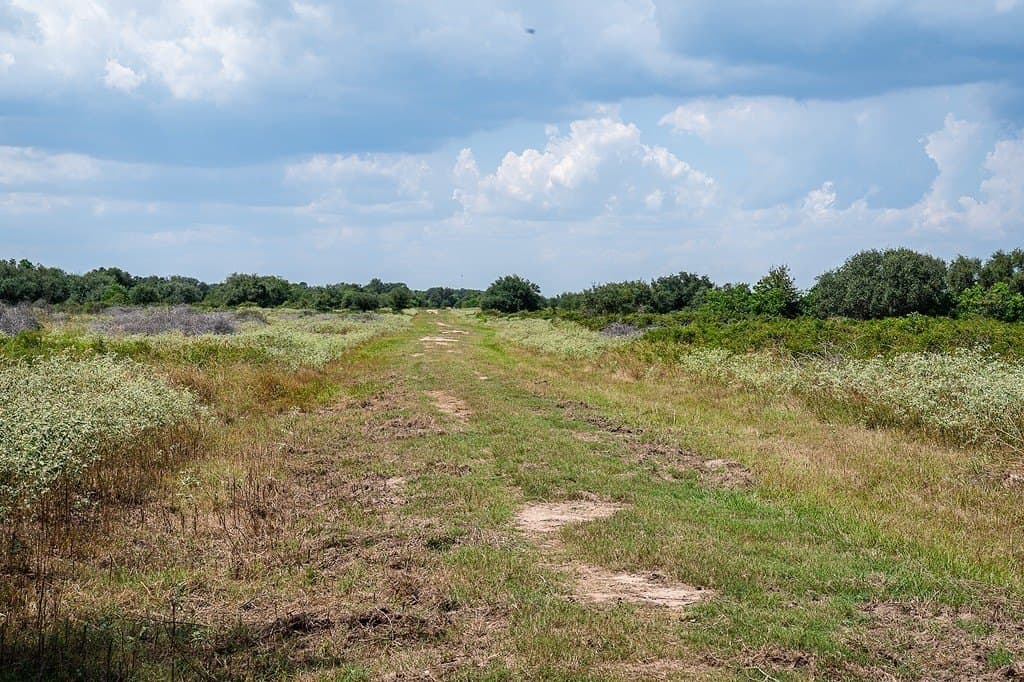 181.88 acres in Colorado County - photo 12